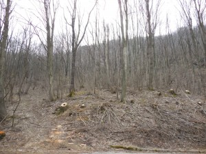 Site of the former Jäger camp